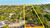 Terreno, 6000 m² - Foto 2