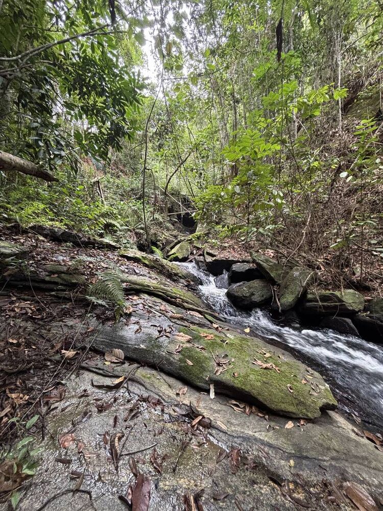 Terreno, 45 m² - Foto 12