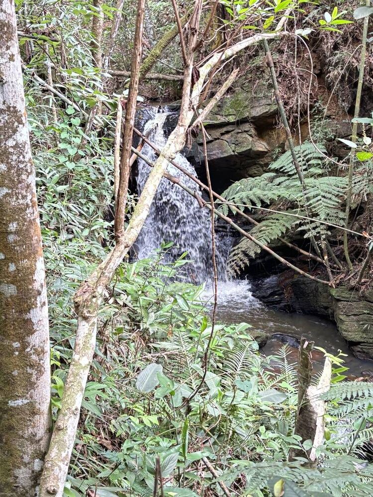 Terreno, 45 m² - Foto 11