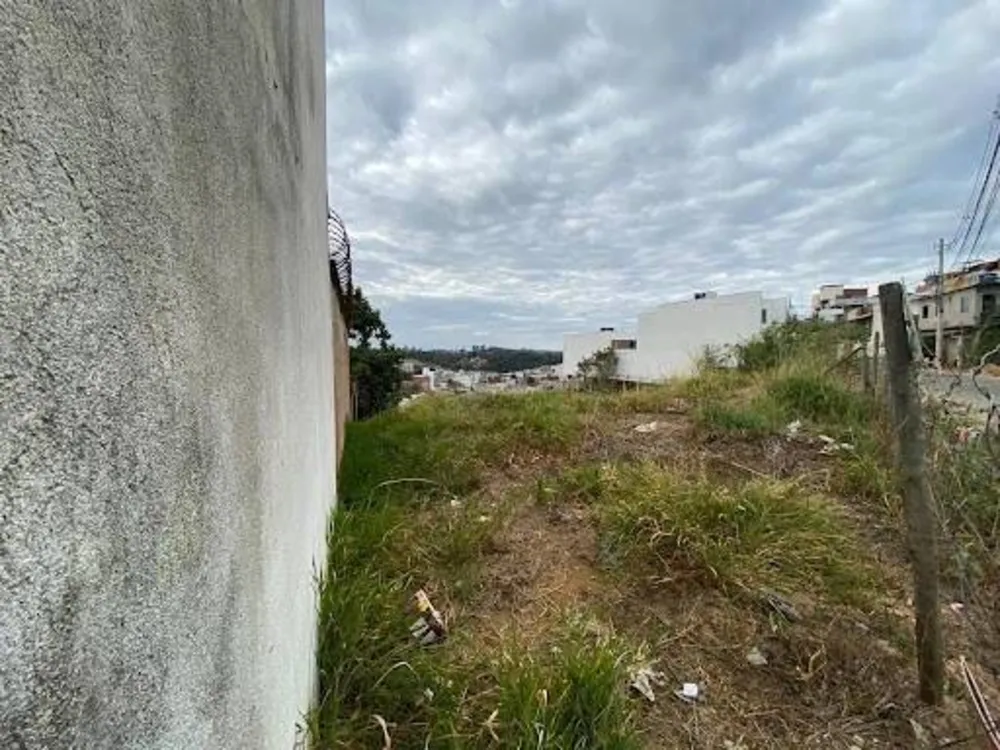 Terreno - Foto 4