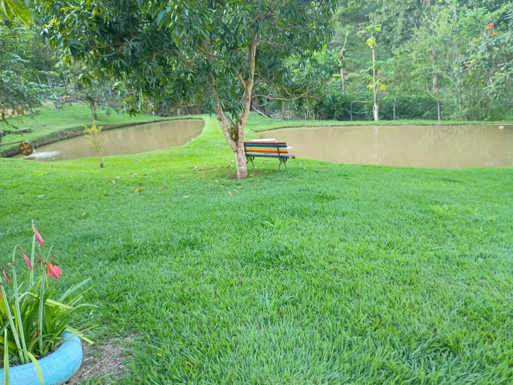 Fazenda, 67 m² - Foto 4