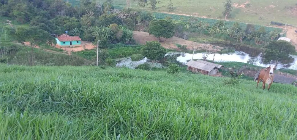 Fazenda, 176 m² - Foto 5
