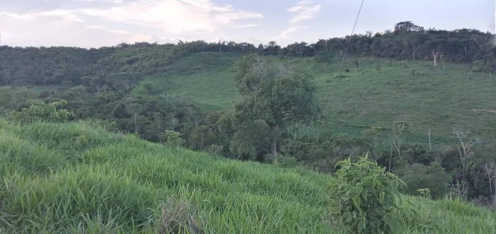 Fazenda, 176 m² - Foto 6