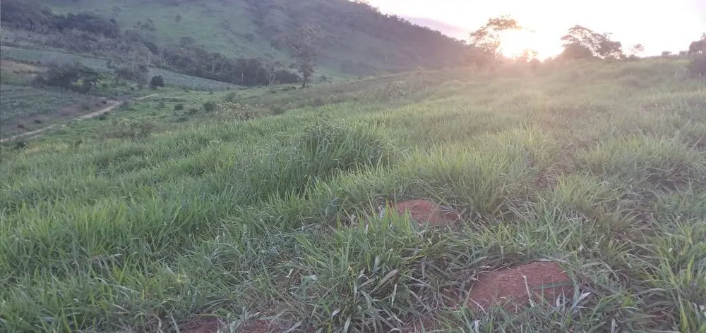 Fazenda, 176 m² - Foto 7