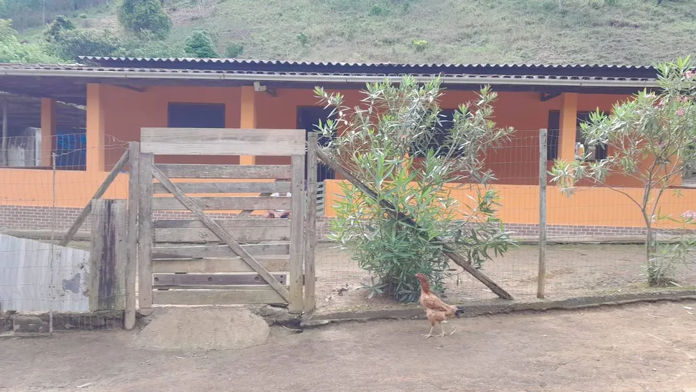 Sítio, 3 quartos, 4 m² - Foto 15