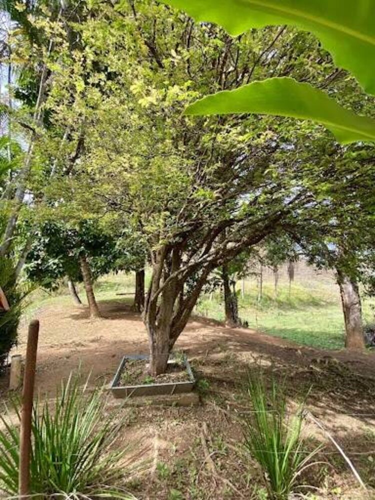 Sítio, 7 quartos, 26 hectares - Foto 15