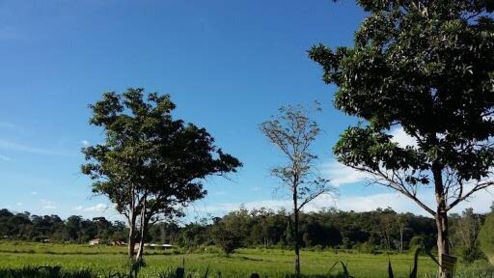 Terreno, 6000 m² - Foto 3