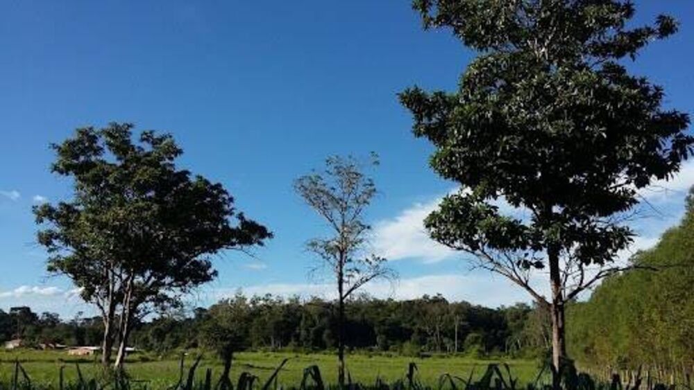 Terreno, 6000 m² - Foto 2