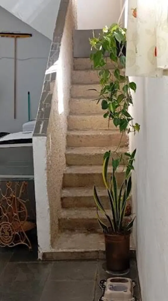 Casa, 3 quartos, 479 m² - Foto 11
