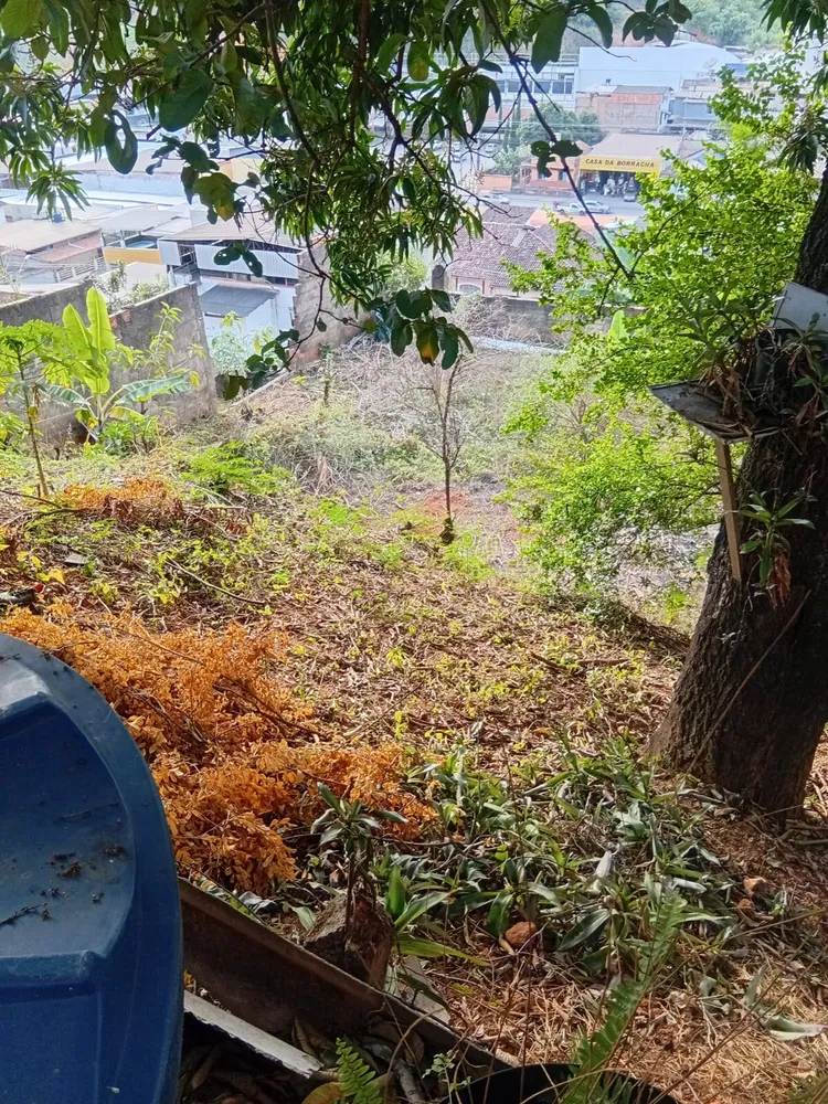 Terreno - Foto 5