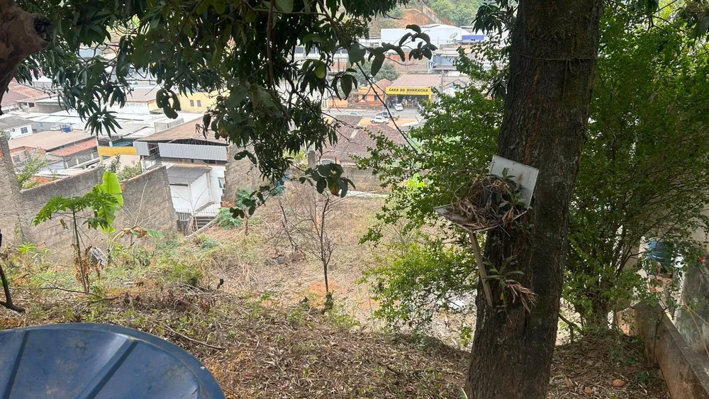 Terreno - Foto 6