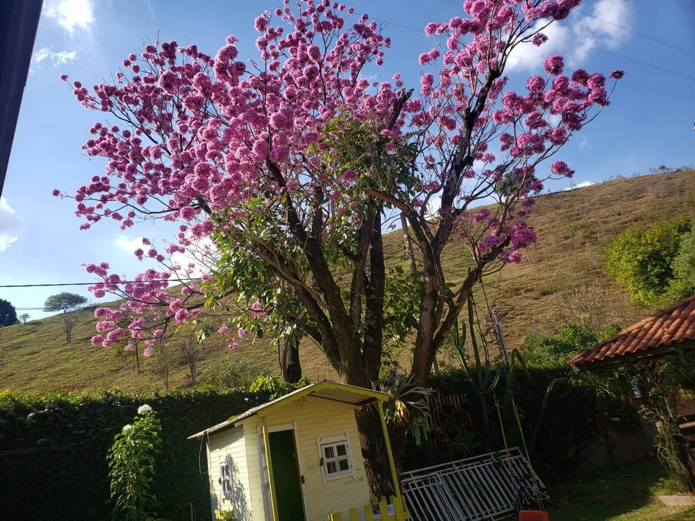 Casa, 4 quartos, 224 m² - Foto 4