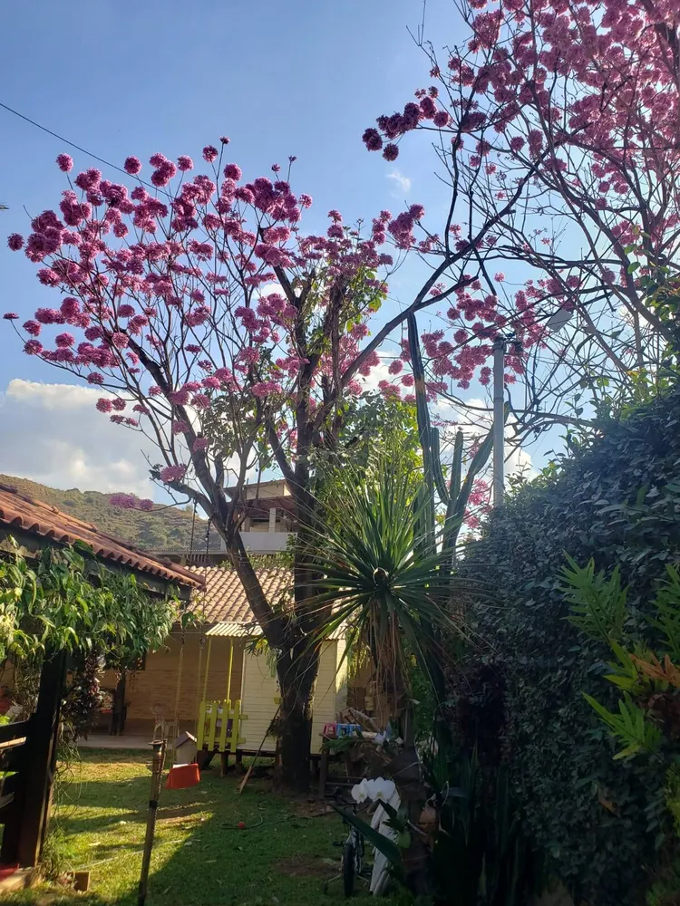 Casa, 4 quartos, 224 m² - Foto 2