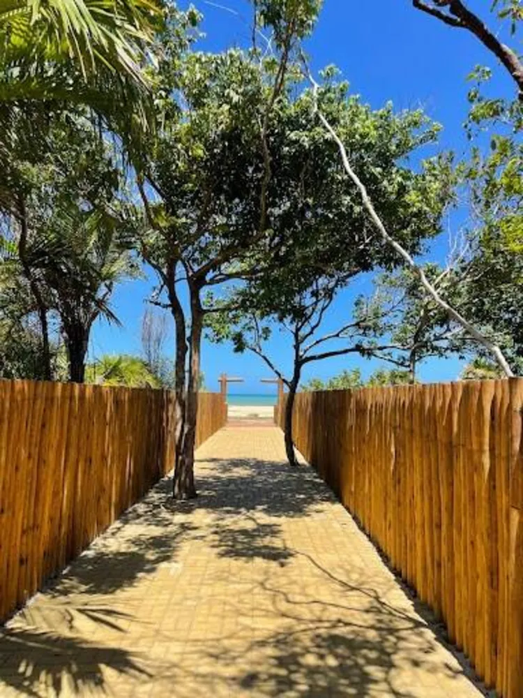 Terreno - Foto 5