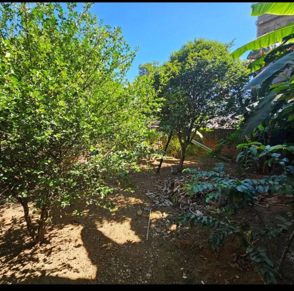 Casa, 5 quartos - Foto 11