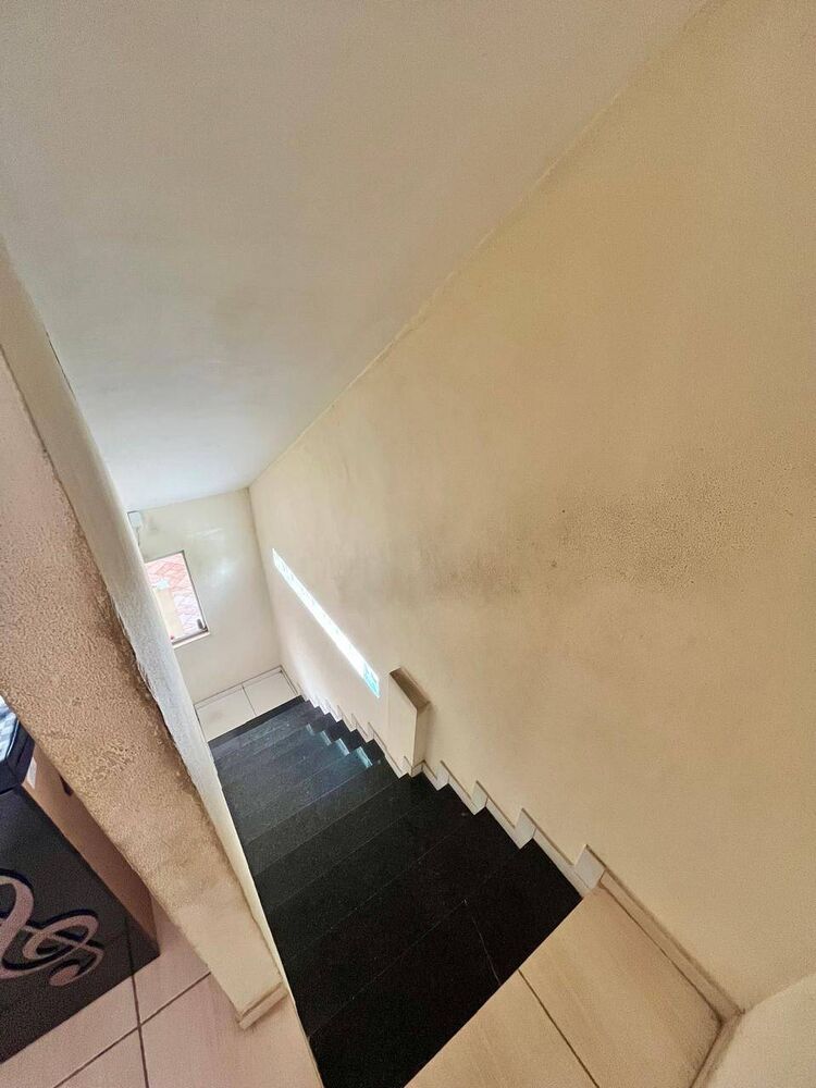 Casa, 5 quartos, 260 m² - Foto 3