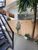 Casa, 6 quartos, 230 m² - Foto 4