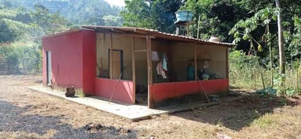 Chácara, 2 quartos, 1980 m² - Foto 4