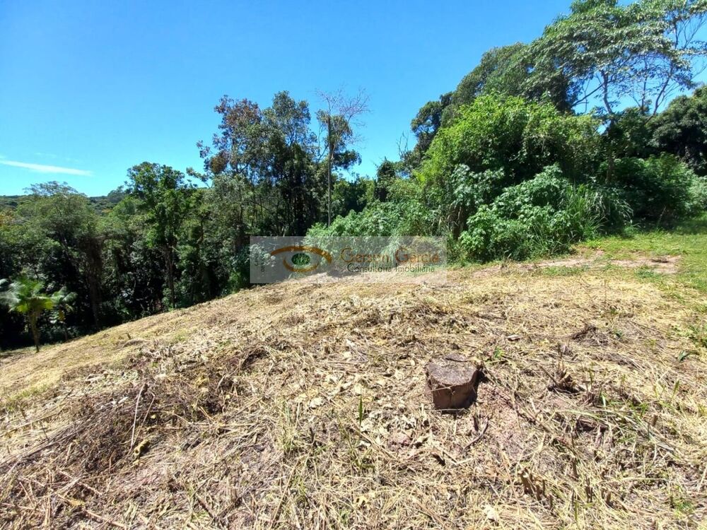 Terreno, 1732 m² - Foto 3