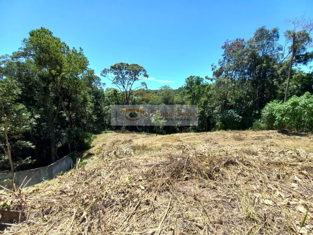 Terreno, 1732 m² - Foto 5
