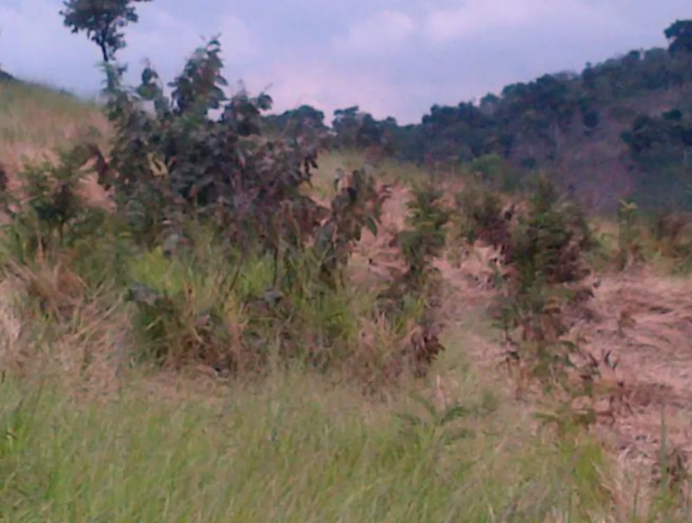 Terreno, 12 hectares - Foto 2