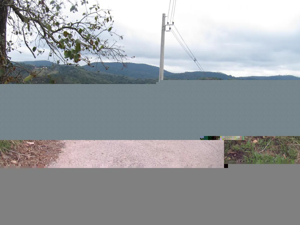 Terreno, 12 hectares - Foto 12