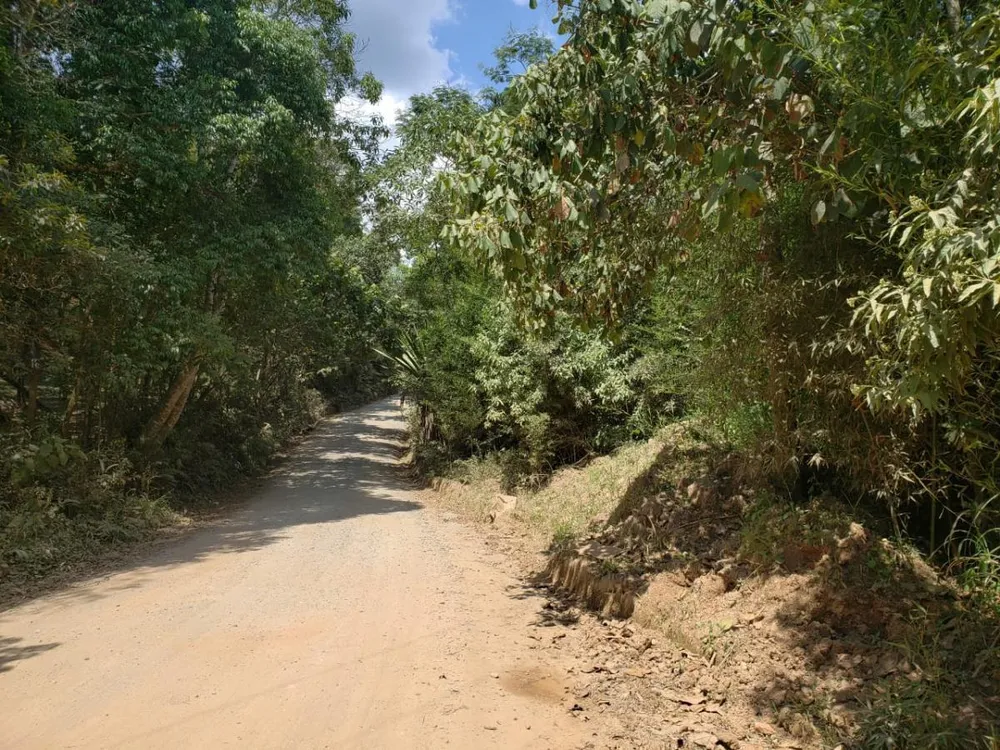 Terreno, 12 hectares - Foto 9