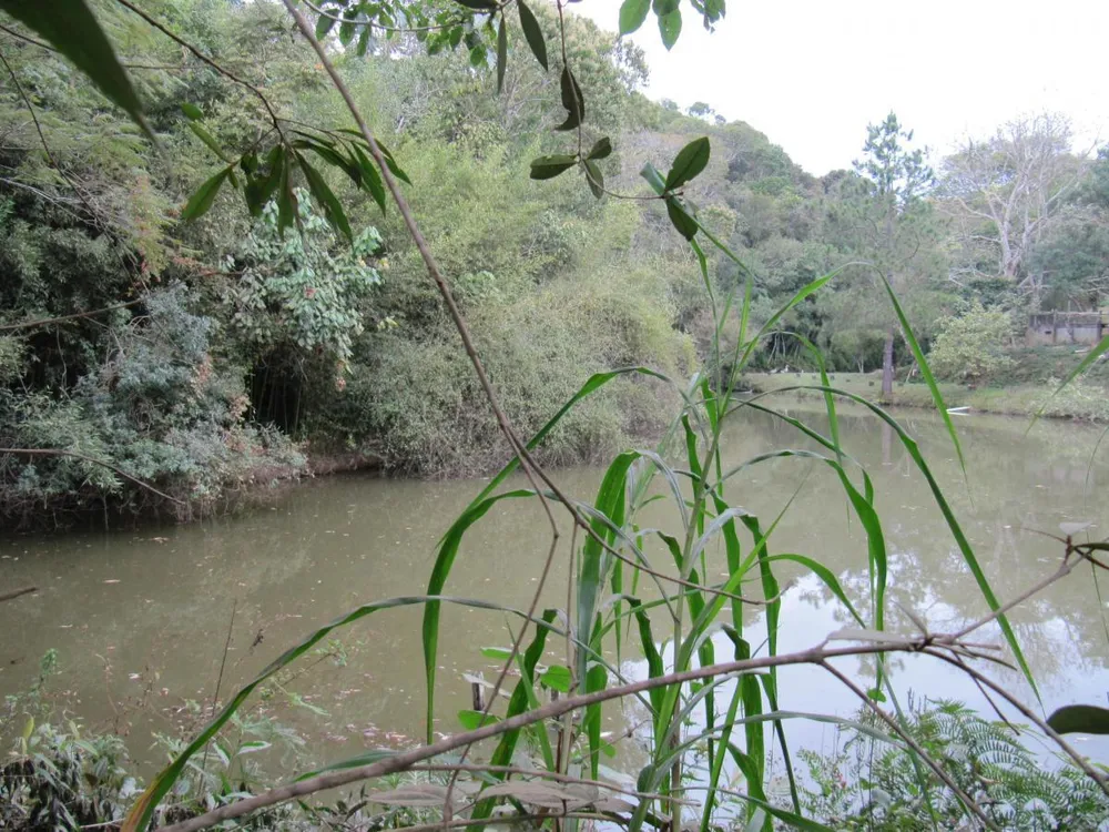 Terreno, 12 hectares - Foto 16