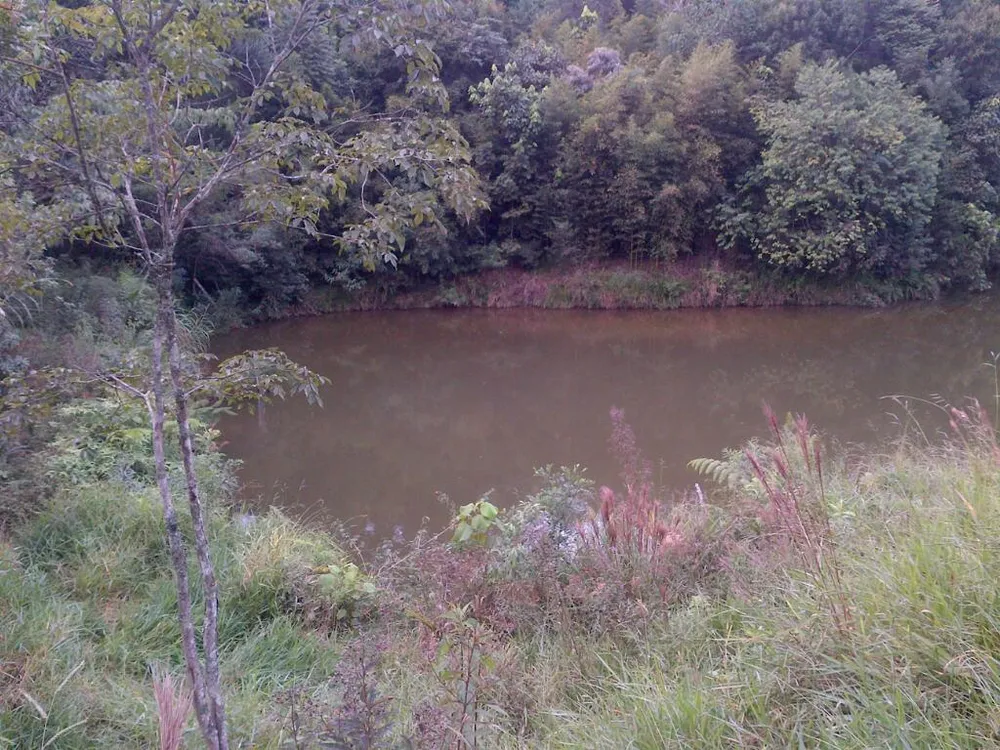 Terreno, 12 hectares - Foto 7