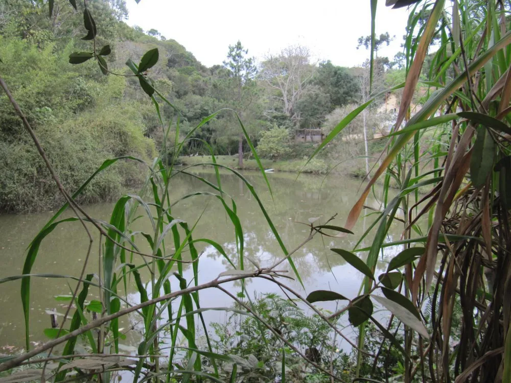Terreno, 12 hectares - Foto 3
