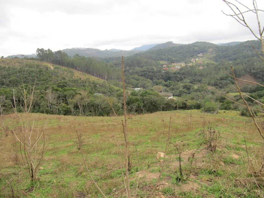 Terreno, 12 hectares - Foto 13