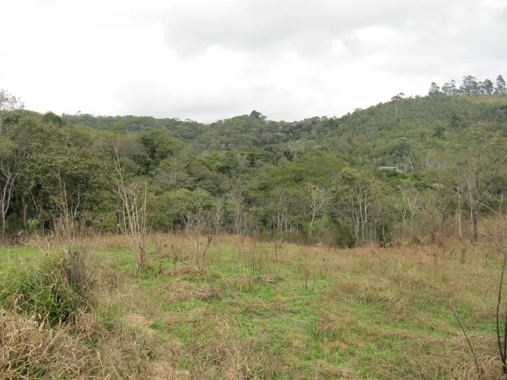 Terreno, 12 hectares - Foto 14