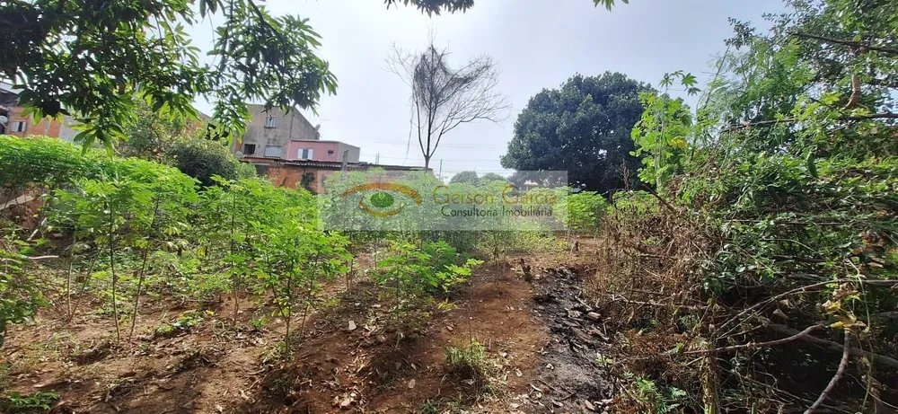 Terreno, 311 m² - Foto 4