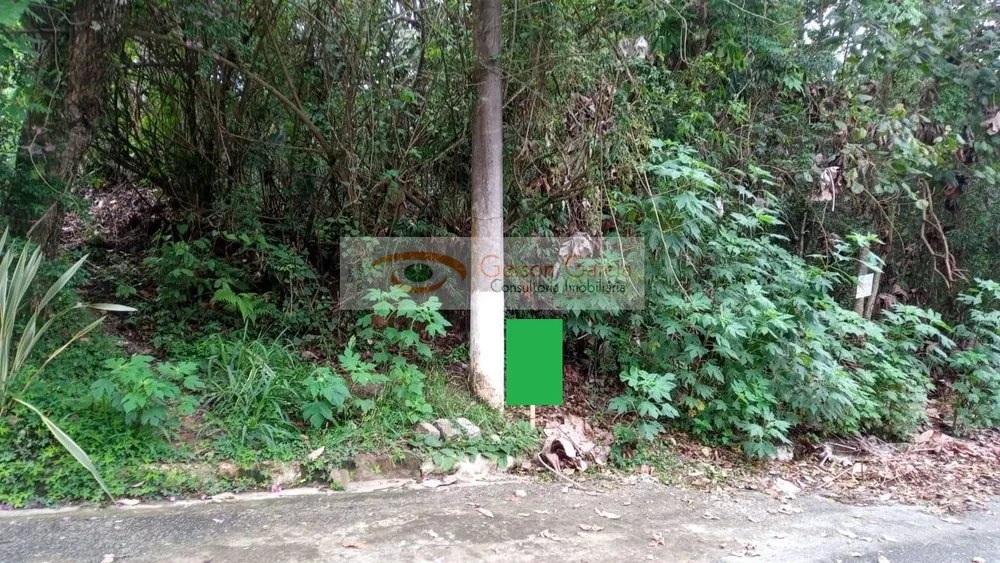 Terreno, 1490 m² - Foto 3