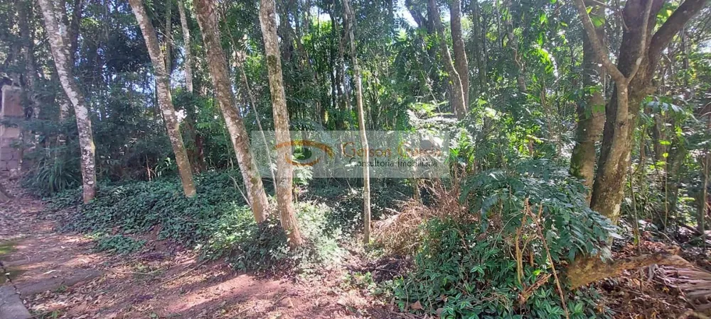 Terreno, 1424 m² - Foto 6