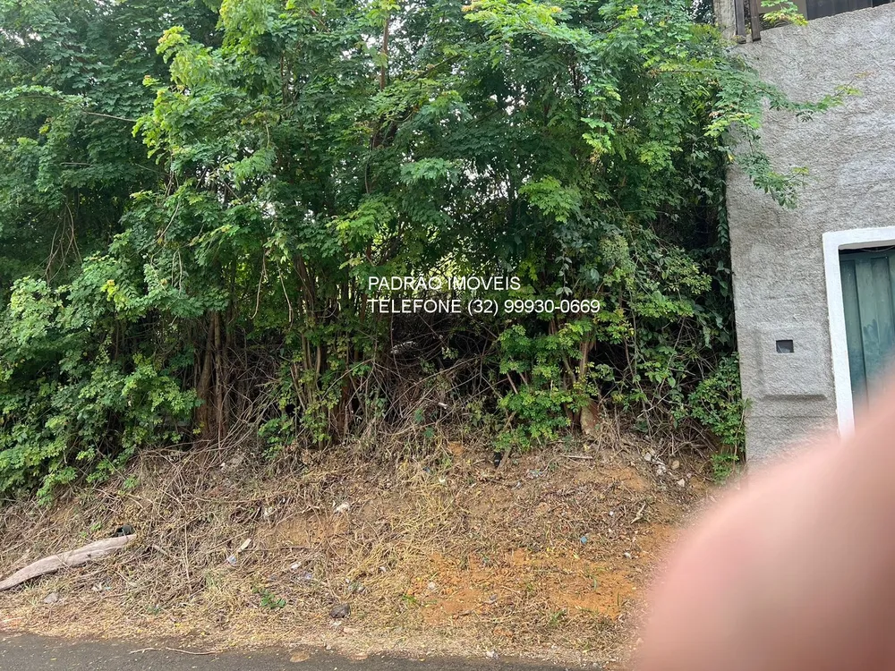 Terreno, 444 m² - Foto 6