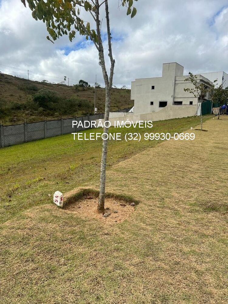 Terreno, 467 m² - Foto 6