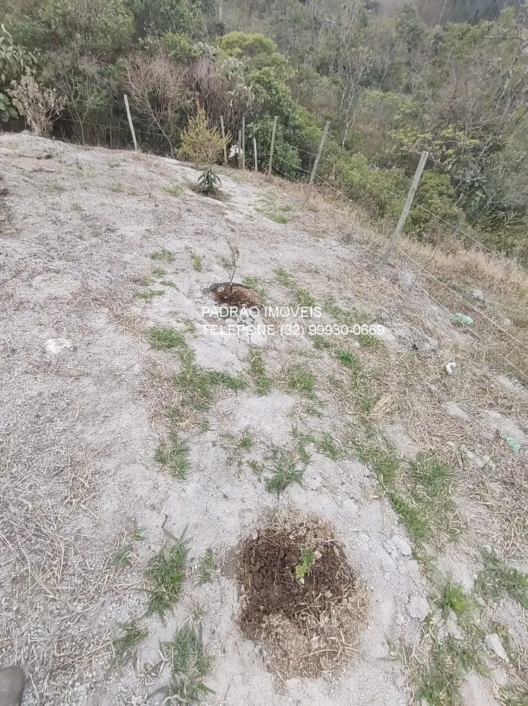 Terreno, 800 m² - Foto 6