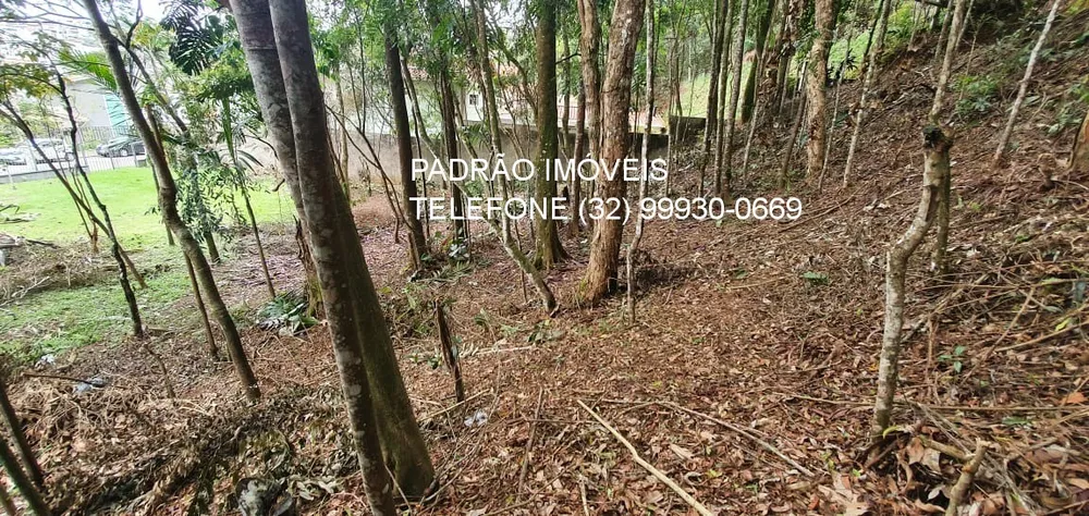 Terreno, 644 m² - Foto 6