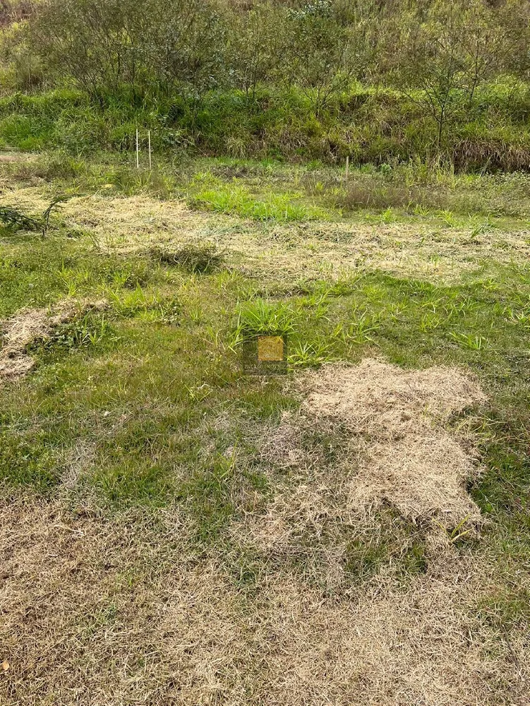 Terreno, 558 m² - Foto 3