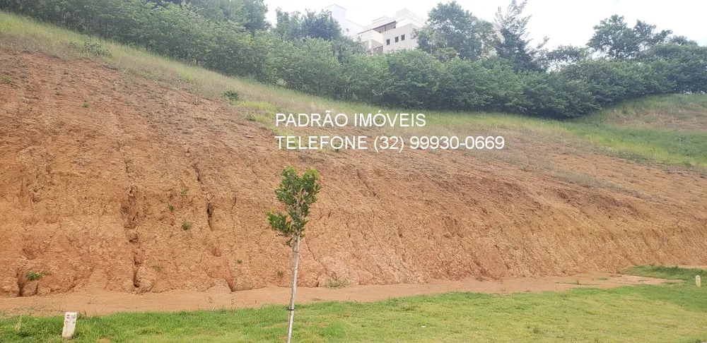 Terreno, 439 m² - Foto 3