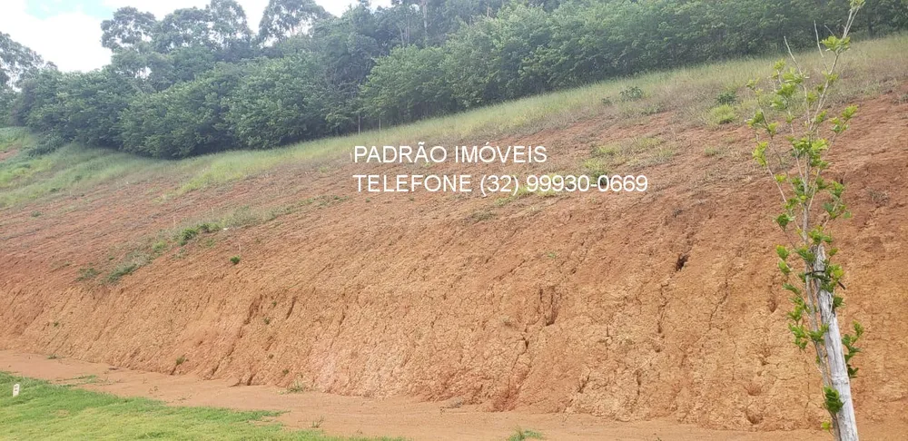 Terreno, 439 m² - Foto 9