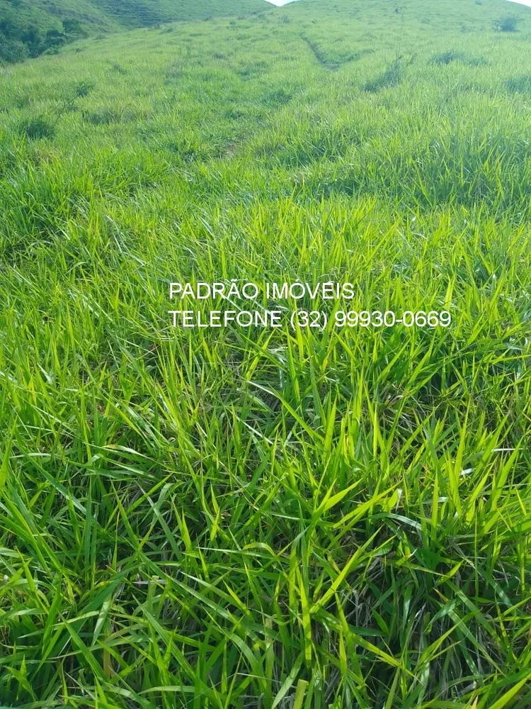 Fazenda - Foto 8