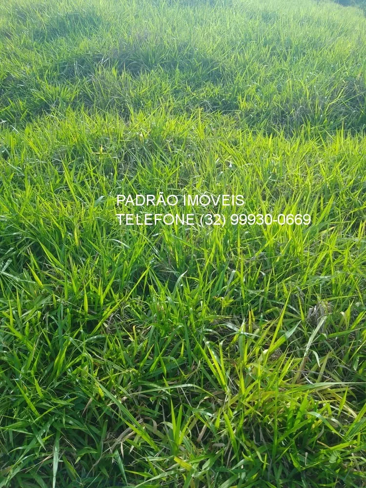 Fazenda - Foto 6