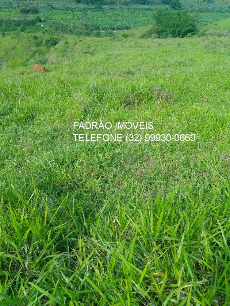 Fazenda - Foto 9