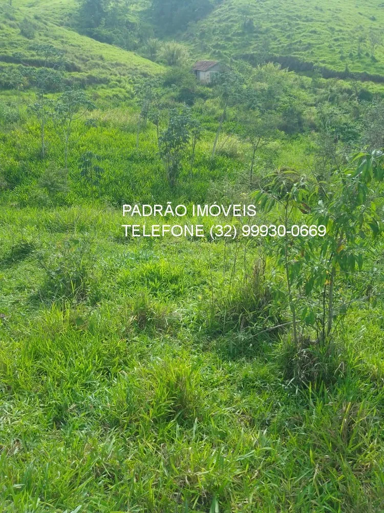 Fazenda - Foto 4