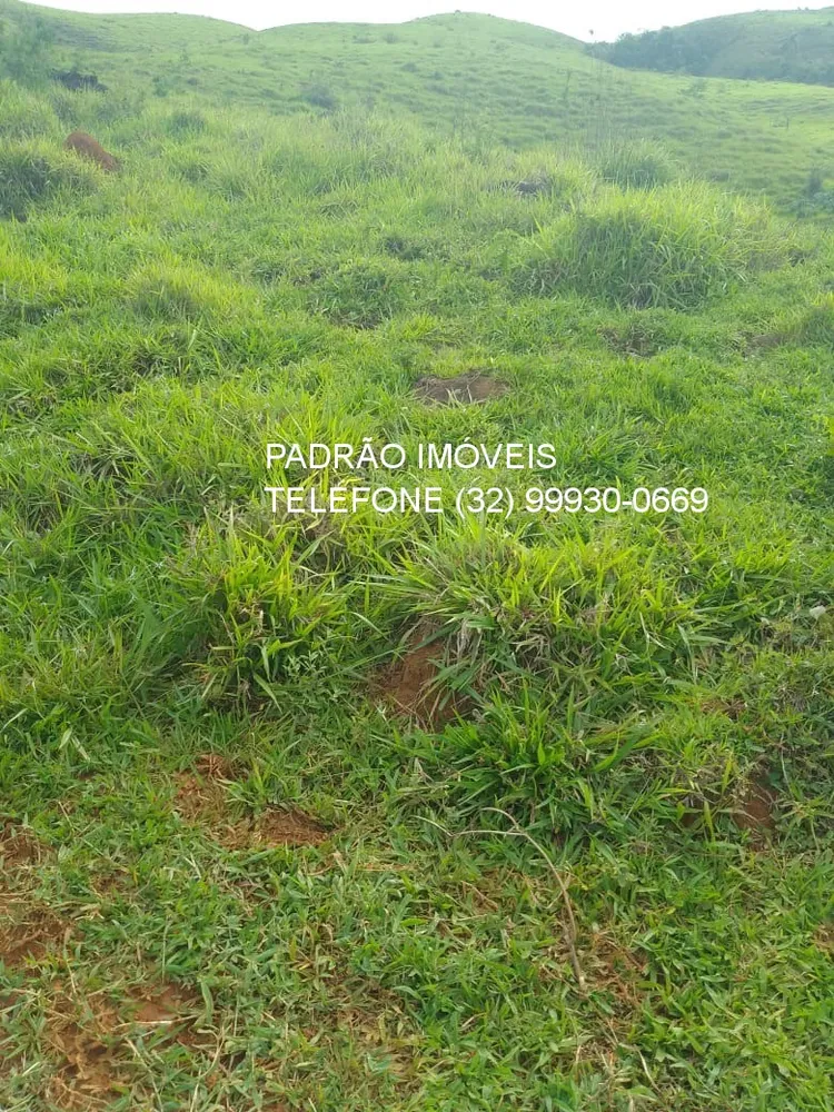 Fazenda - Foto 12