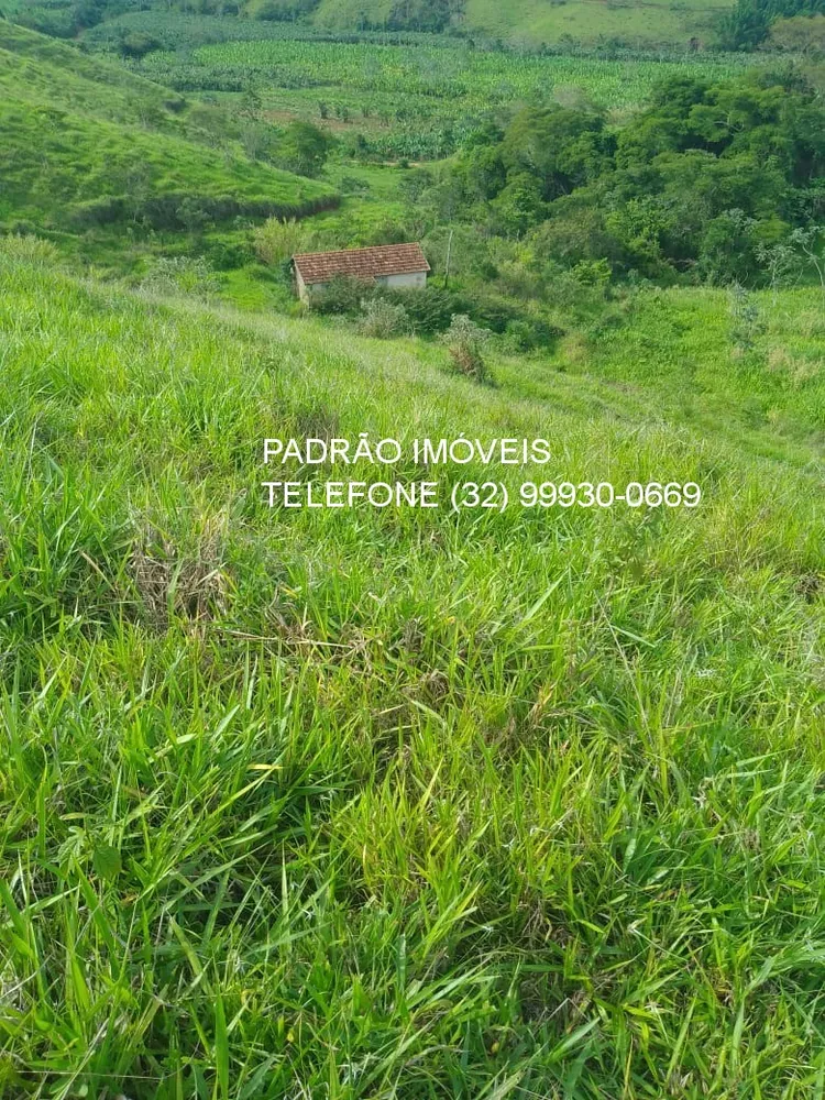 Fazenda - Foto 10
