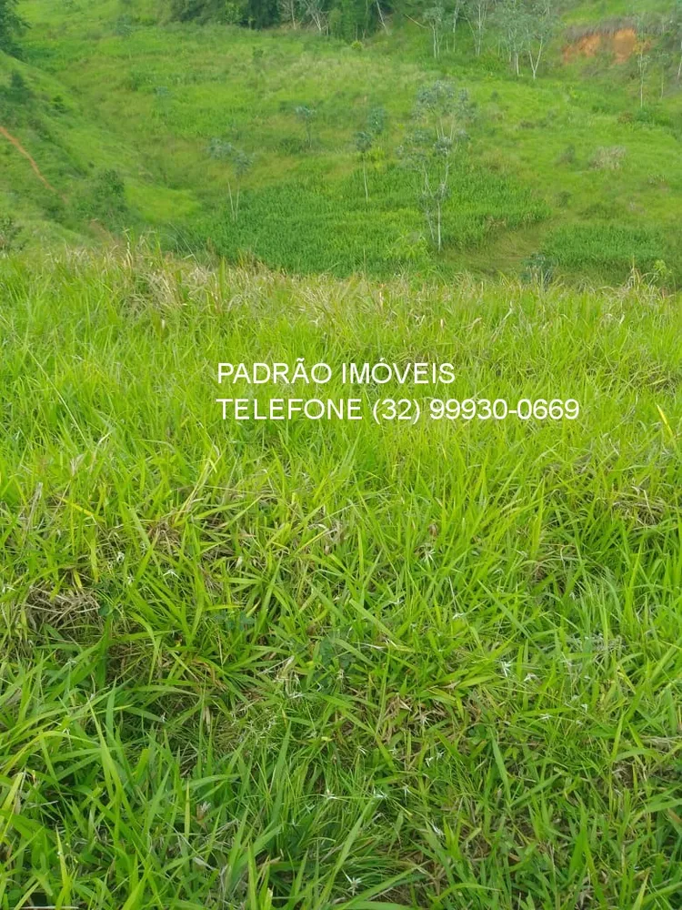 Fazenda - Foto 7
