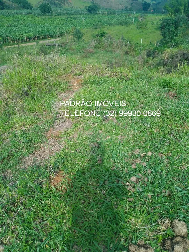 Fazenda - Foto 3
